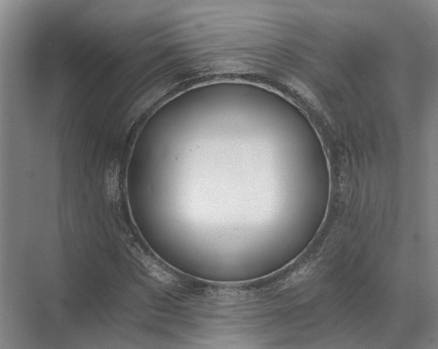 X0000072960873200607282253