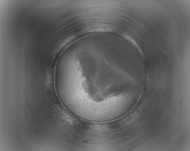 X0000072960874200607282253