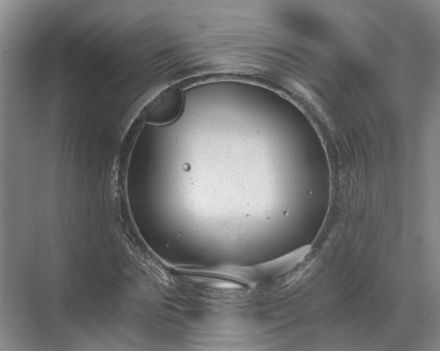 X0000072960875200607282253