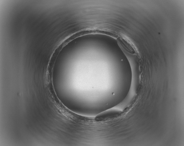 X0000072960876200607282253