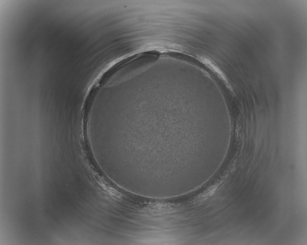 X0000072960877200607282253