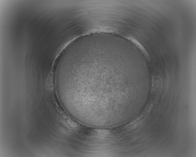 X0000072960878200607282253