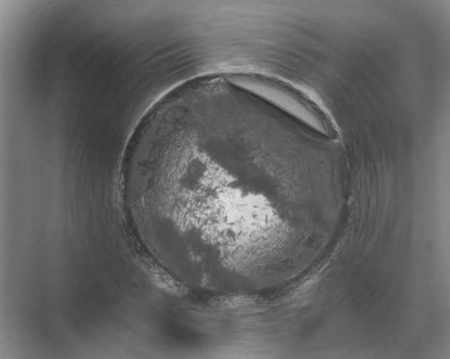 X0000072960879200607282253