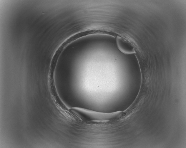 X0000072960880200607282253