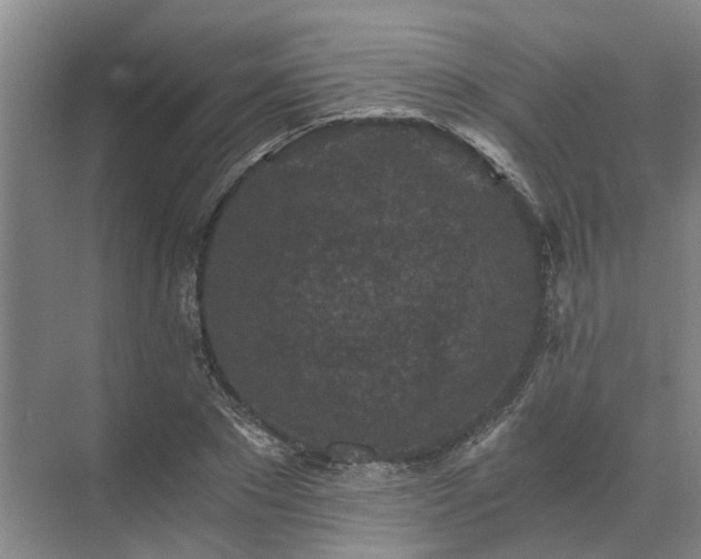 X0000072960881200607282253