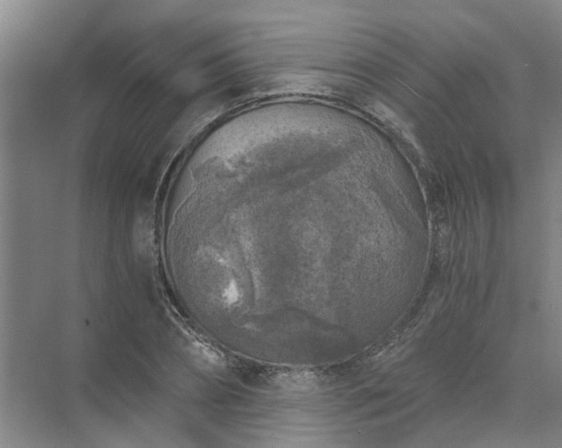 X0000072960882200607282253