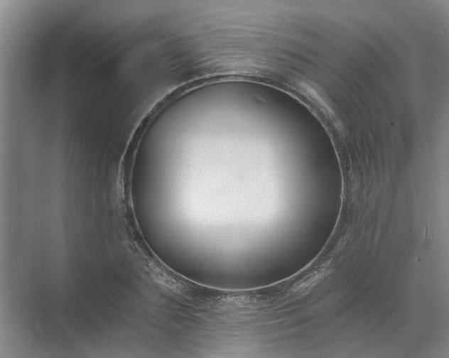 X0000072960883200607282253