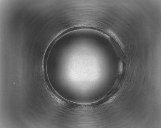 X0000072960884200607282253