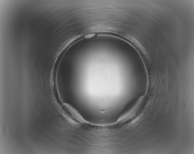 X0000072960885200607282253