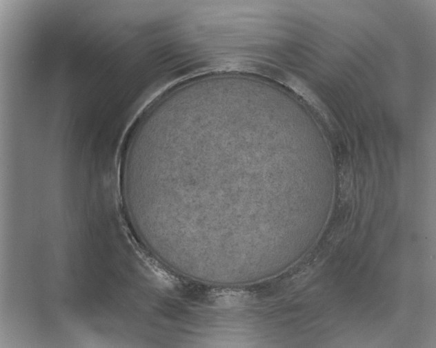 X0000072960886200607282253