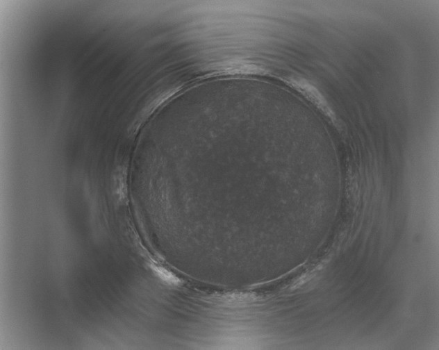 X0000072960889200607282253