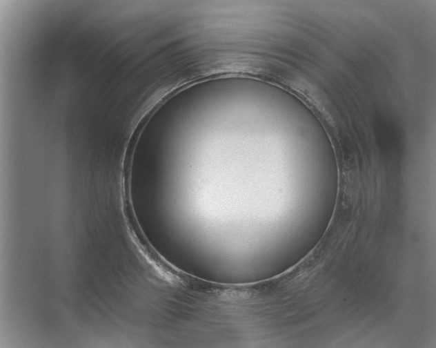 X0000072960890200607282253