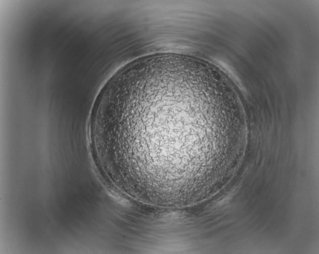 X0000072960891200607282253