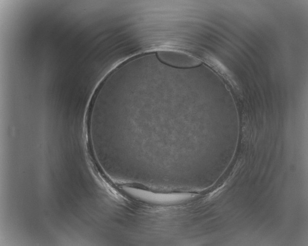 X0000072960892200607282253