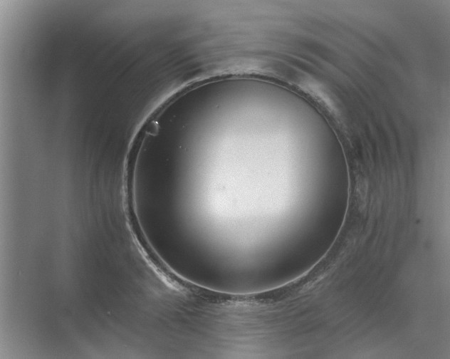 X0000072960894200607282253