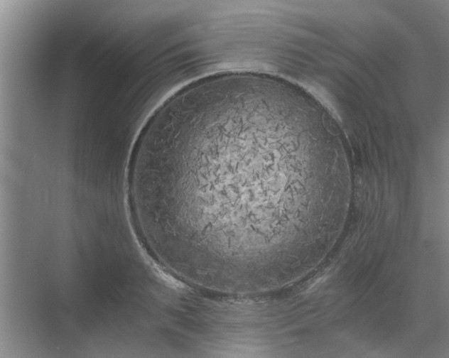 X0000072960895200607282253