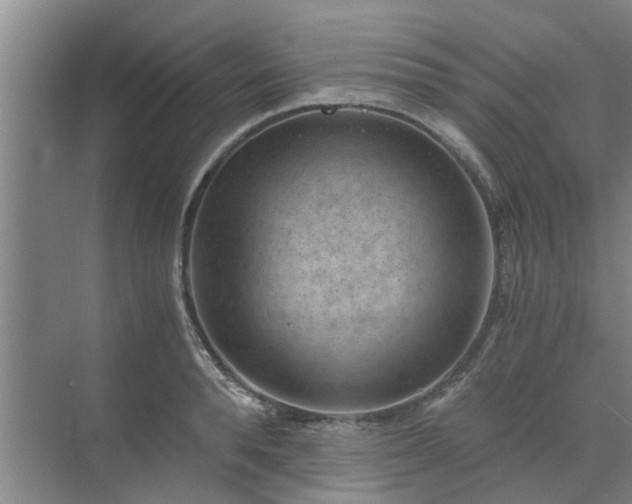 X0000072960896200607282253