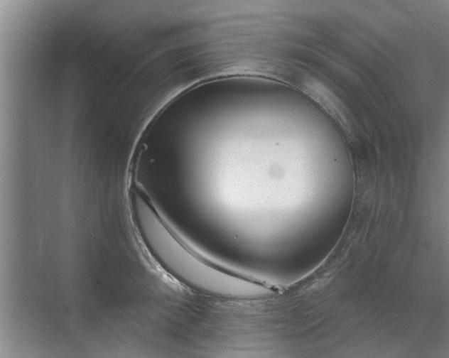 X0000072960900200607282253