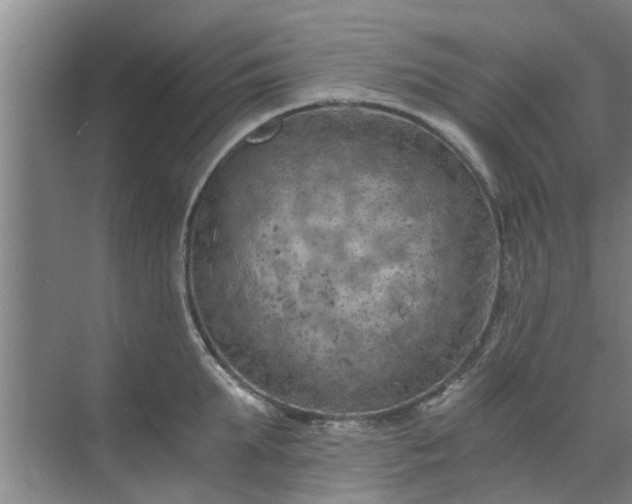 X0000072960903200607282253