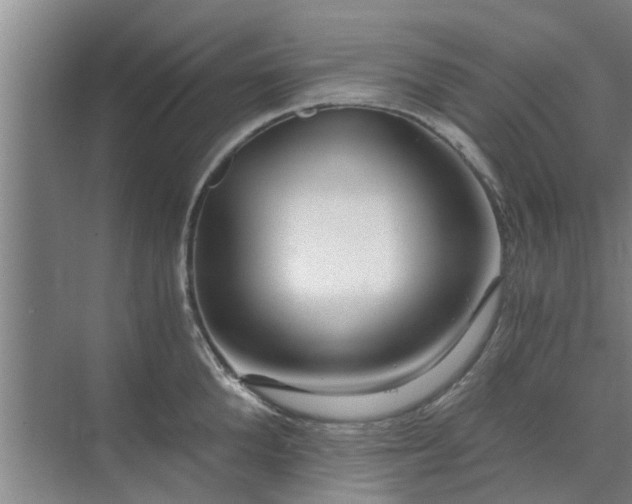 X0000072960904200607282253