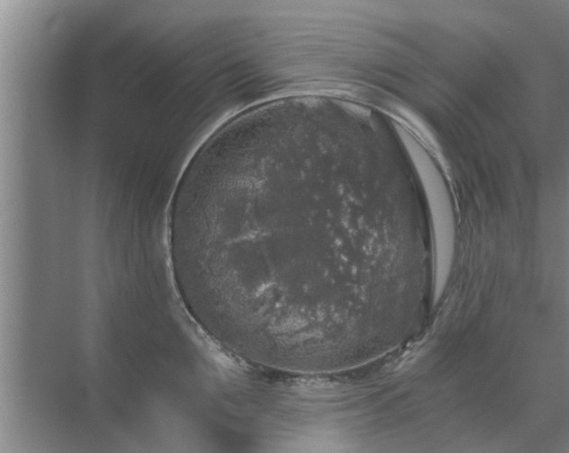 X0000072960907200607282253