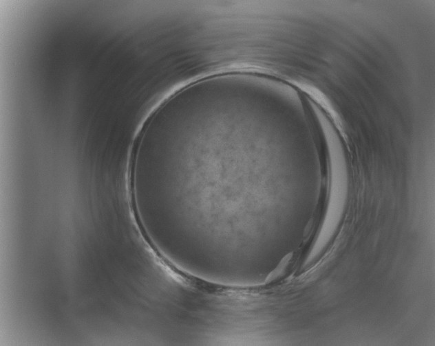 X0000072960910200607282252