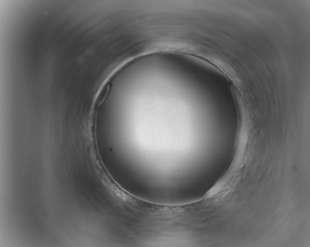 X0000072960912200607282252