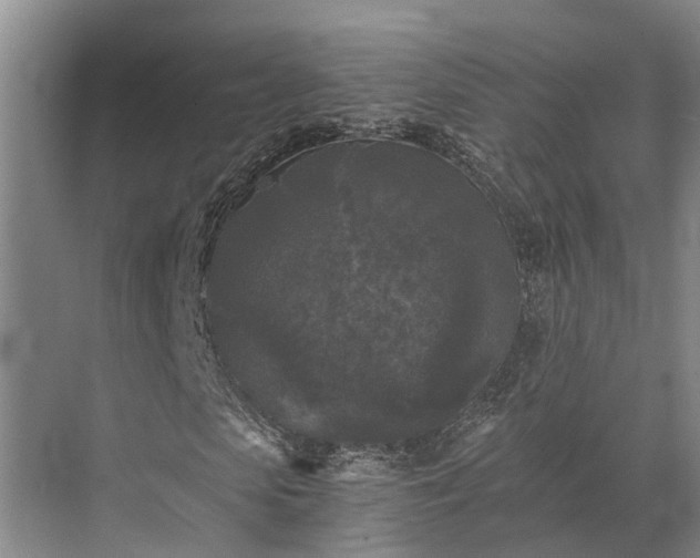 X0000072960913200607282252