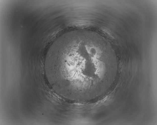 X0000072960917200607282252