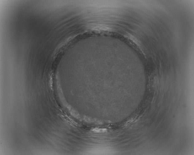 X0000072960919200607282252