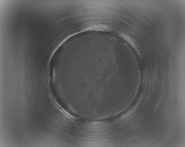 X0000072960923200607282252