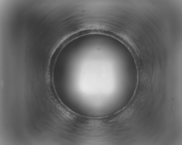 X0000072960927200607282252