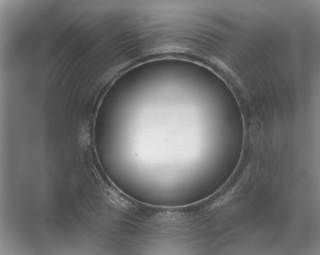 X0000072960929200607282252