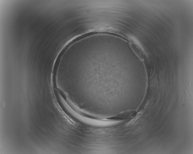 X0000072960932200607282252