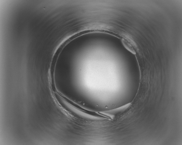 X0000072960936200607282252