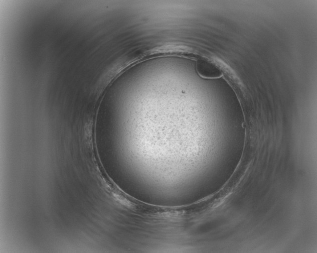 X0000072960937200607282252