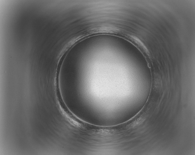 X0000072960938200607282252