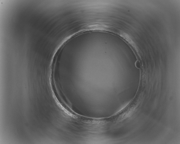 X0000072960941200607282252