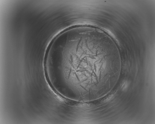 X0000072960943200607282252