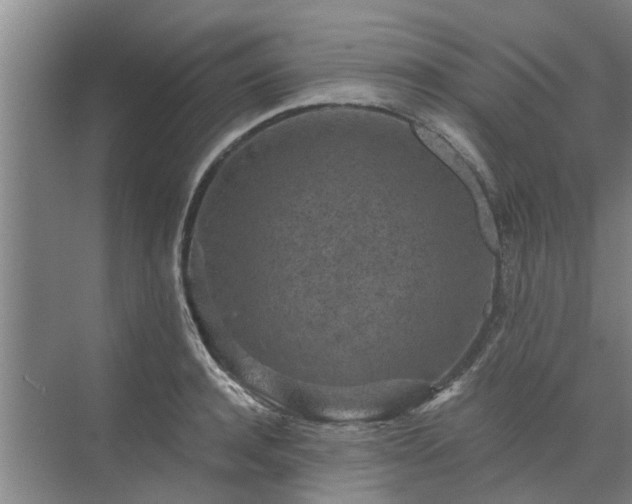 X0000072960944200607282252