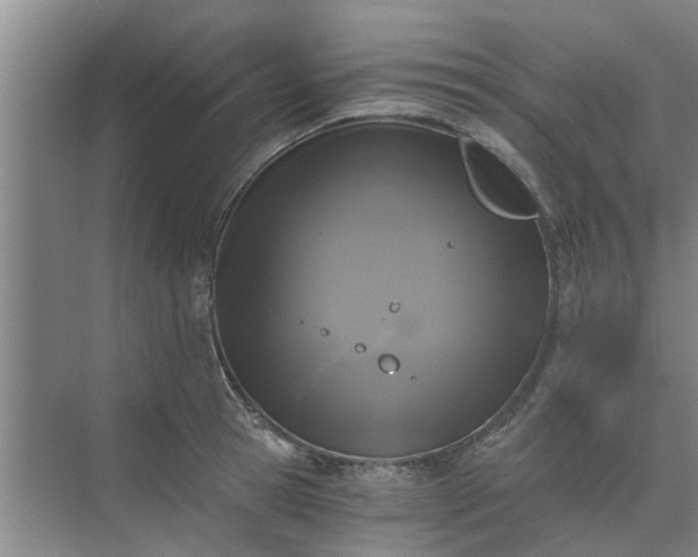 X0000072960945200607282252