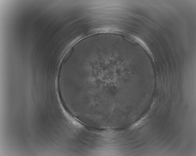 X0000072960946200607282252