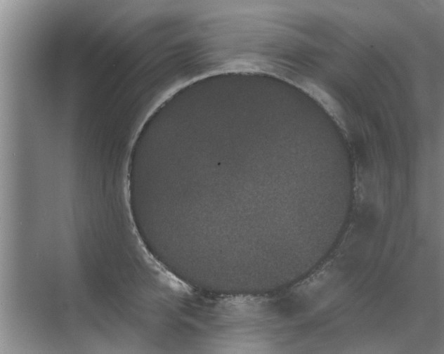 X0000072960950200607282252