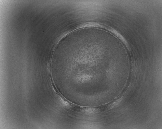 X0000072960953200607282252