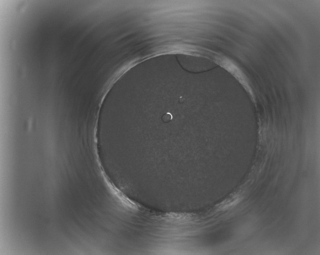 X0000072960954200607282252