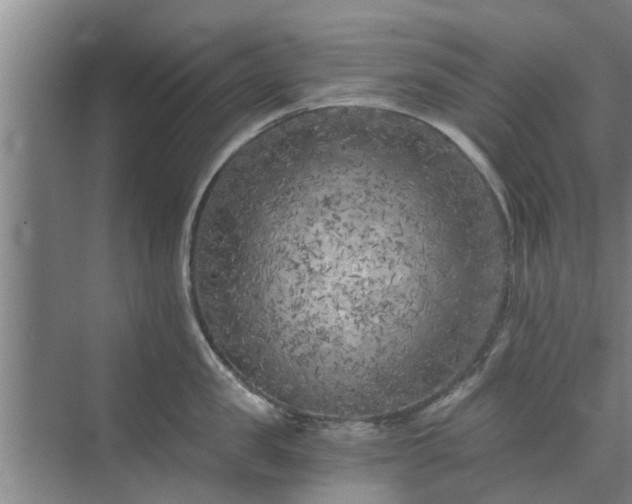 X0000072960957200607282252