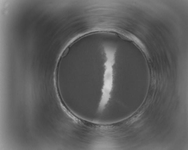 X0000072960958200607282252