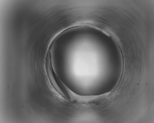 X0000072960960200607282252