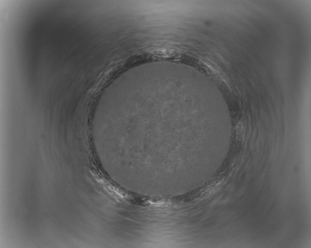 X0000072960961200607282252