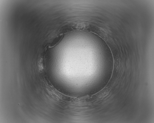 X0000072960962200607282252